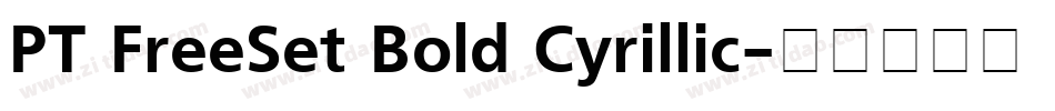 PT FreeSet Bold Cyrillic字体转换